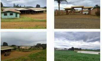 Imagem 4: Leilão - Imóvel Rural de 28 HA - Terras de Cultivo em Fraiburgo SC