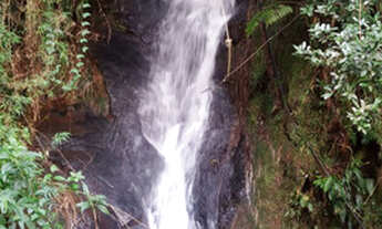 Imagem 2: Sítio com 5 Cachoeiras