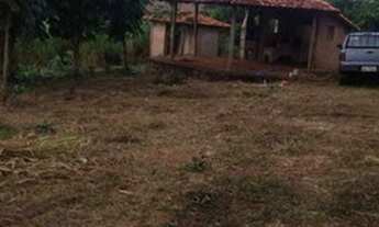 Imagem 3: Sitio em ibiraci 1 alqueire 350.000.00 ( leo