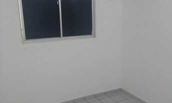 Imagem 2: Bosque dos eucaliptos