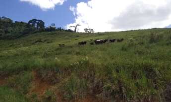 Imagem 2: Sítio em Valença