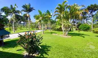 Imagem 5: Sítio para Venda em Paulo Lopes, Bom Retiro, 3 dormitórios, 1 suíte, 2 banheiros, 3 vagas