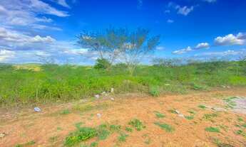 Imagem 5: Vendo área Fazenda / sítio com venda por R$20.000