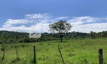 Imagem 7: Venda Fazenda ÁREA RURAL DE UBERLÂNDIA