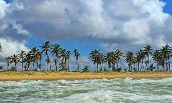 Imagem 6: Lotes (Cond. Fechado) Barra dos Coqueiros