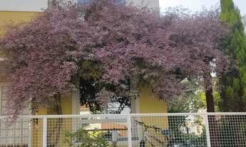 Imagem: Casa Andreia no Villa Flora Hortolândia