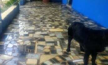 Imagem 7: Vende-se Chácara