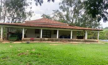 Imagem 3: Excelente chácara em Nova Veneza