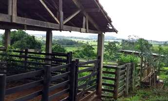 Imagem 2: Sitio em ibiraci 1 alqueire 350.000.00 ( leo