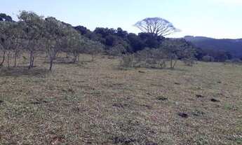 Imagem 3: Fazenda 48 Hectares em Resende Costa Rica em Agua
