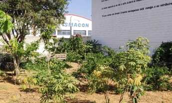 Imagem 4: Hortolândia - Terreno Padrao - Chácaras Fazenda Coelho