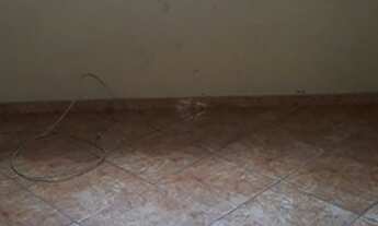 Imagem 7: Casa mais loja em terreno com frente p/ 2 ruas no bairro Brito 2