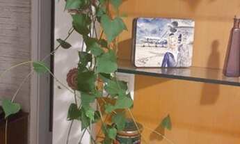 Imagem 6: Apartamento para venda com 93 metros quadrados com 2 quartos