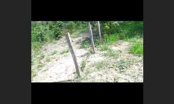 Imagem 6: Vendo terra! Fazenda / sítio com venda por R$400.000