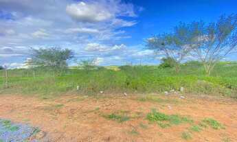 Imagem 4: Vendo área Fazenda / sítio com venda por R$20.000