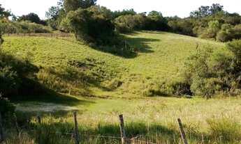 Imagem 3: Chácara em Bagé 29 hectares