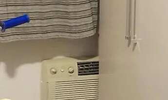 Imagem 3: Alugo Apartamento Cidade Universitária. 2 qts sendo 1 suite