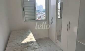 Imagem 4: São Paulo - Apartamento Padrão - Tatuapé