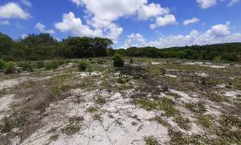 Imagem 3: Terreno para venda - 20.000m2 - Linha Verde - em Porto de Sauipe - Entre Rios - BA