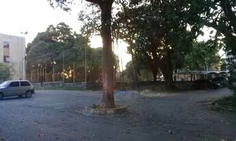 Imagem 7: Apartamento 2 quartos com garagem coberta