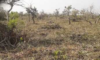 Imagem 5: Terreno Chapada dos Guimaraes