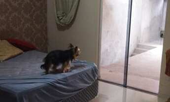 Imagem 5: Sobrado para venda tem 84 metros quadrados com 2 quartos