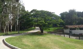 Imagem 6: ONDOMÍNIO DE FAZENDINHAS DE ALTO PADRÃO - OPORTUNIDADE