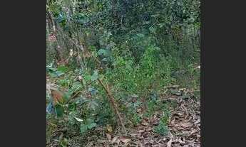 Imagem 2: Chacara Chácara com venda por R$35.000