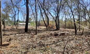 Imagem 6: Chácara em Barrocãozinho 10 km de Montes Claros