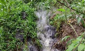 Imagem 4: FAZENDINHA com Riachinho ou Lago, 2 x de R$12.503,00 mais parcelas