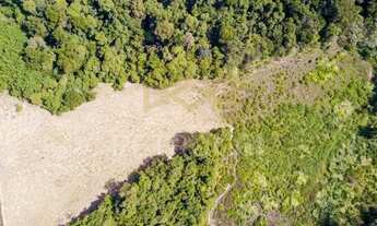 Imagem 5: Terreno - Jardim Martinelli (Sousas) - Campinas