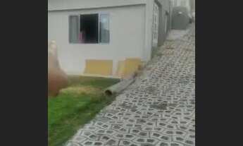 Imagem 3: Alugo Kitnet na Pampulha