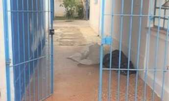 Imagem 5: Casa Térrea, Brooklin Novo - São Paulo