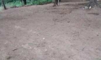 Imagem 6: Vendo uma chácara com 4 hectares (40,000m) - Aceita imóveis (-) valor