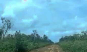 Imagem 11: FAZENDA À VENDA EM SANTA MARIA DAS BARREIRAS-PA-2.094 HEC. (DUPLA APTIDÃO