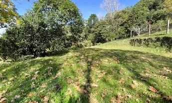 Imagem 6: CAXIAS DO SUL - Terreno Padrão - LINHA 40