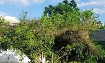 Imagem 3: CASA RESIDENCIAL em FLORIANÓPOLIS - SC, RATONES