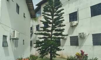 Imagem 4: Apartamento a venda