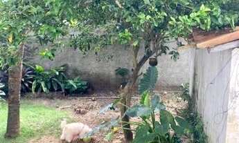 Imagem 3: Casa a venda praia de cotovelo