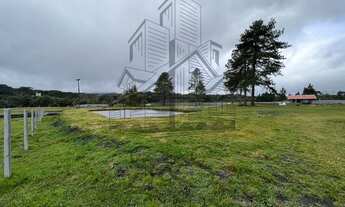 Imagem 5: Chácara à venda em Piraquara