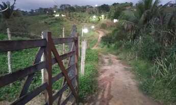 Imagem 5: Chácara com um belíssimo terreno frutíferas