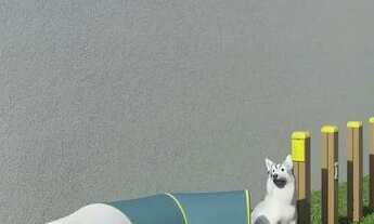 Imagem 7: O lançamento mais esperado de Setúbal Edf. Luciana Carvalho Residence| 3 Quartos