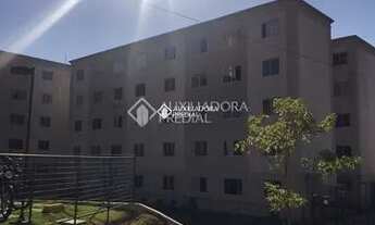 Imagem 4: NOVO HAMBURGO - Apartamento Padrão - Santo Afonso