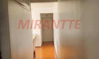 Imagem 7: Lindo apartamento em Santa Terezinha