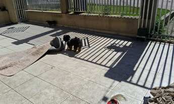 Imagem 5: Terrenos/ Jd@&$ Viviane@@@ Cond**! Fech##&$ Próx Atuba@@ Região