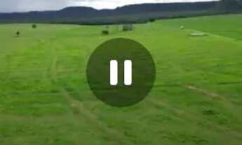 Imagem 3: Fazenda de arrendamento 1.100hec em Itiquira MT