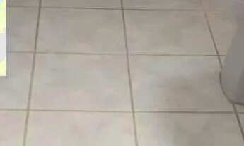 Imagem 7: Aluguel Bairro Ouro Preto (Próximo UFMG / Pampulha