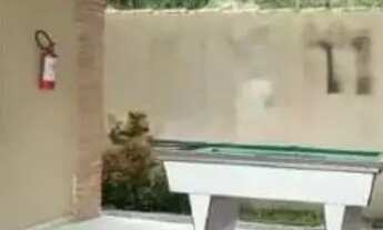 Imagem: Vendo Apartamento Condomínio Alto das Palmeiras