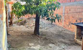 Imagem 5: Vendo casa no jardim metrópoles