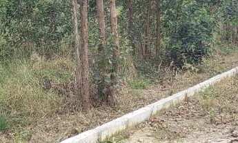 Imagem 7: Vendo terreno 1.256 M2 em Araruama